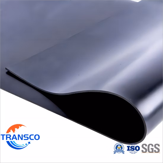 Hot Selling Low Price EVA Mat, Car Floor Mat, Pet Mat, Rubber/Pet/PE/HDPE/LDPE/PP/PS/PVC/PC/ABS/EPS/EVA Foam Sheet